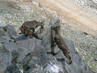 Appartement Saas-Fee Omgeving 14
