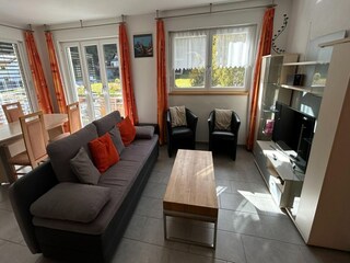 Apartment Saas-Fee Features 13