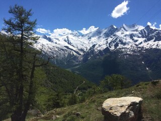 Apartment Saas-Fee Umgebung 19
