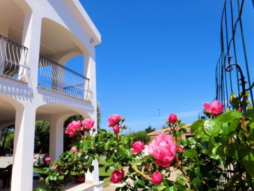 Holiday apartment Solevacanze Typ K mono