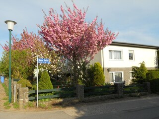 Apartment Steffenshagen Außenaufnahme 2
