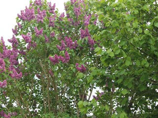 Apartamento Steffenshagen Grabación al aire libre 5