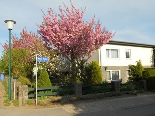 Apartment Steffenshagen Outdoor Recording 1