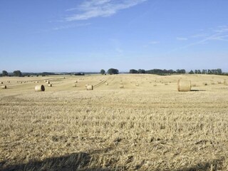 Appartamento Steffenshagen Ambiente 23