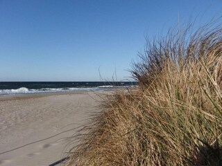 Apartamento Steffenshagen Entorno 19