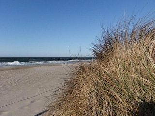 Apartment Steffenshagen Environment 28