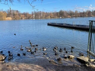 Appartamento Zwickau Ambiente 32