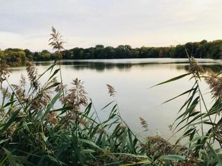 Appartamento Zwickau Ambiente 36