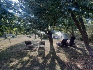 Casa de vacaciones Wrechen Grabación al aire libre 7
