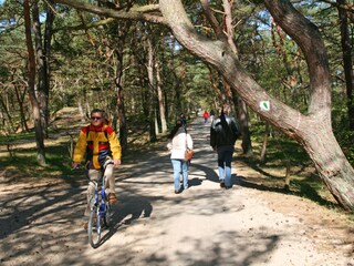 Dünenweg an der Ostsee