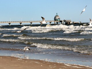 Seebrücke Zinnowitz