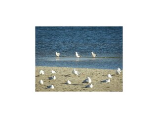 Maison flottante Ueckermünde Environnement 21