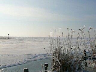 Appartement Stolpe auf Usedom Buitenaudio-opname 8