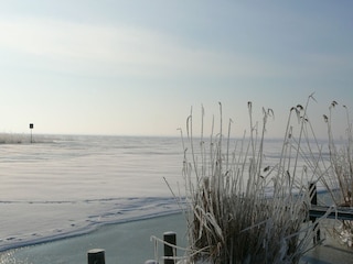 Appartement Stolpe auf Usedom Buitenaudio-opname 5