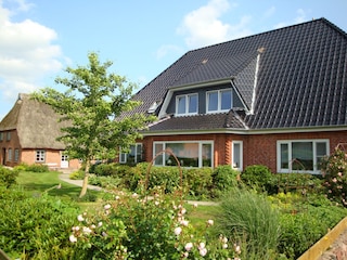 Blick vom Dorf auf das nett eingegrünte Wohnhaus