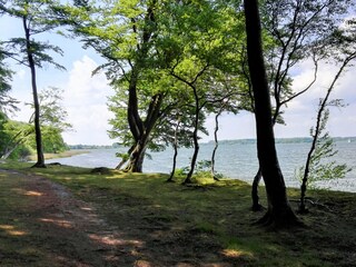 Idyllischer Wanderweg am Schleiufer, herrliche Aussicht