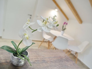 Apartment Dubrovnik Ausstattung 5