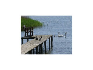 Barco casa Kröslin Entorno 12