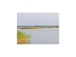 Hausboot Barth Umgebung 15