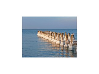 Huisboot Barth Omgeving 16