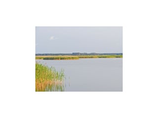 Hausboot Barth Umgebung 13