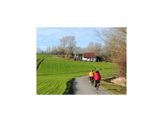 House boat Barth Environment 17