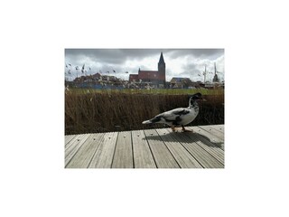 Huisboot Barth Omgeving 14