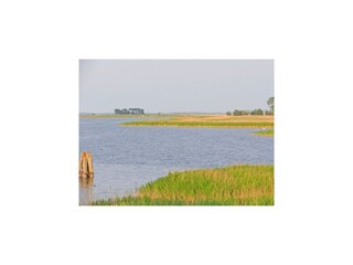 Huisboot Barth Omgeving 15