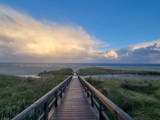 Ferienwohnung Norddeich Umgebung 14