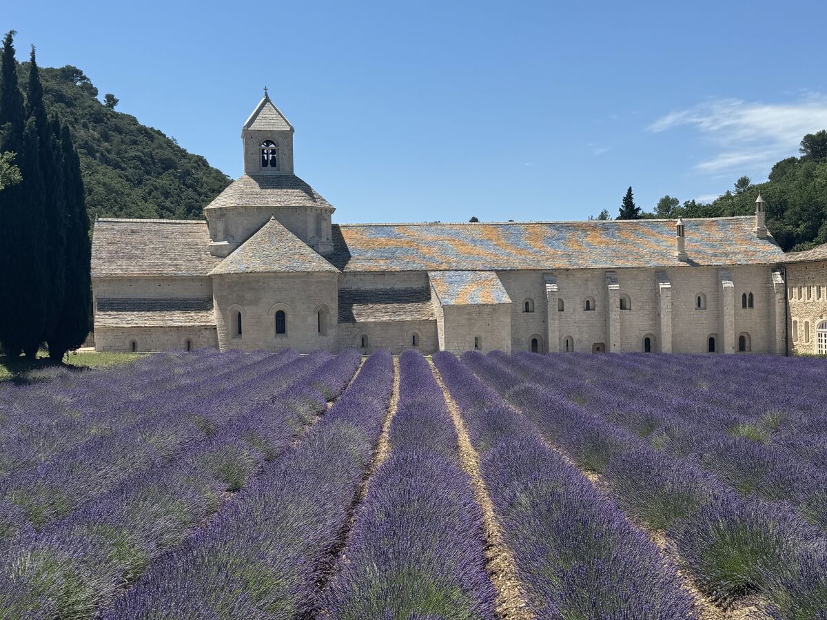 Lavendelfelder vor Abbaye de Sénanque