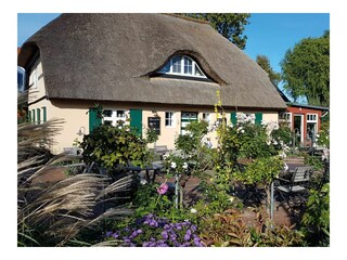Ferienwohnung Zingst Außenaufnahme 3