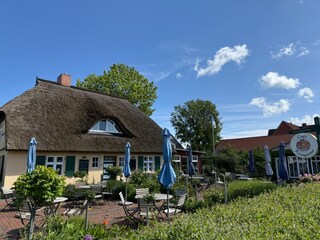 Ferienwohnung Zingst Außenaufnahme 22