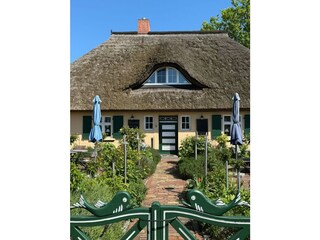Ferienwohnung Zingst Außenaufnahme 7