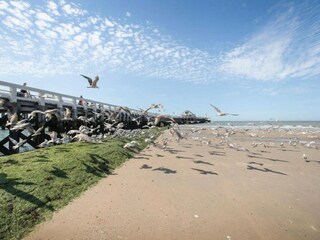 Appartement Blankenberge Environnement 38