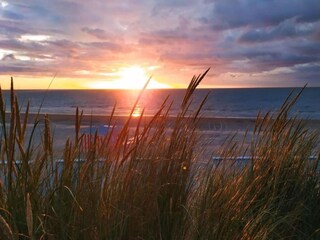 Appartamento Oostduinkerke Ambiente 32