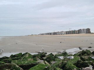 Appartement Oostduinkerke Environnement 37