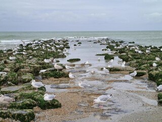 Appartamento Oostduinkerke Ambiente 38