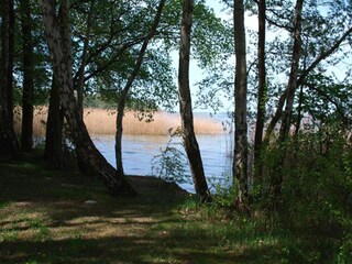 Holiday house Rechlin Environment 40