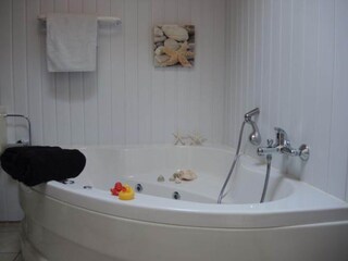 Vakantiehuis Rechlin Kenmerken 6