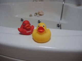 Maison de vacances Rechlin Équipement 21