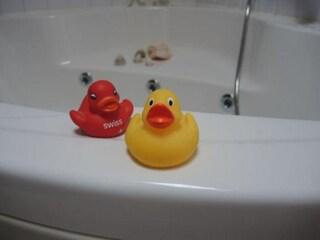 Casa per le vacanze Rechlin Caratteristiche 23