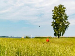 Vakantiehuis Rechlin Omgeving 35