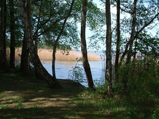 Holiday house Rechlin Environment 14