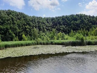 Vakantiehuis Granzow Omgeving 15