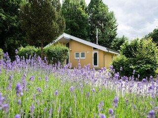 Vakantiehuis Granzow Buitenaudio-opname 3