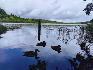 Casa per le vacanze Granzow Ambiente 44