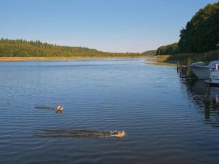 Vakantiehuis Granzow Omgeving 18