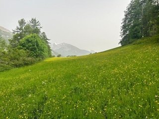 Apartment Uvernet-Fours Umgebung 25