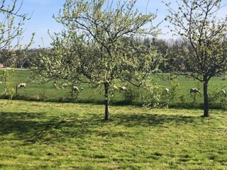 Appartement Clavy-Warby Omgeving 34