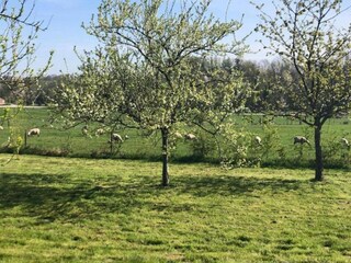 Apartment Clavy-Warby Umgebung 18